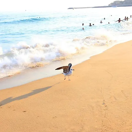 아파트 Warm Yellow