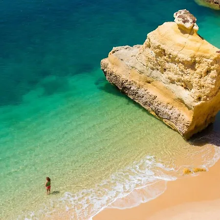 Warm Yellow アルブフェイラ