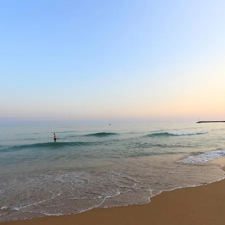 Warm Yellow アルブフェイラ